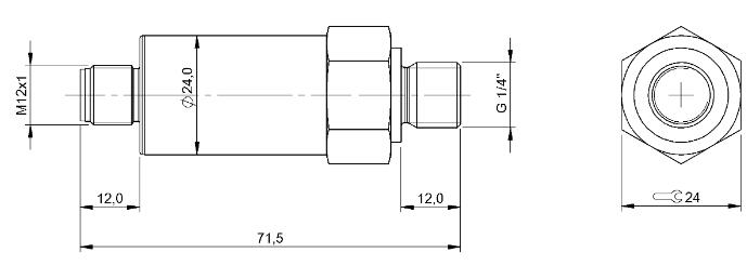 压力传感器 BSP B250-DV004-A06A1A-S4